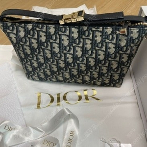 디올 Dior Travel Nomad 미디엄 파우치백