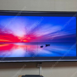 LG OLED 55인치 TV (번인X, 울산 설치비 포함)