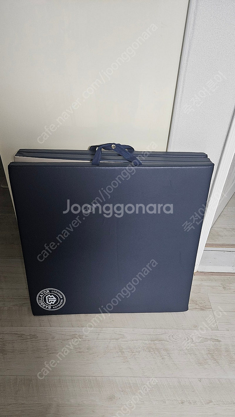 바벨라토르 뉴 리쌤매트 판매합니다.--0