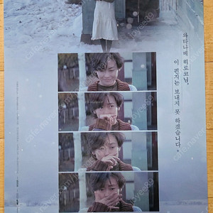 영화 러브레터 포스터