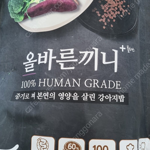 올바른 끼니