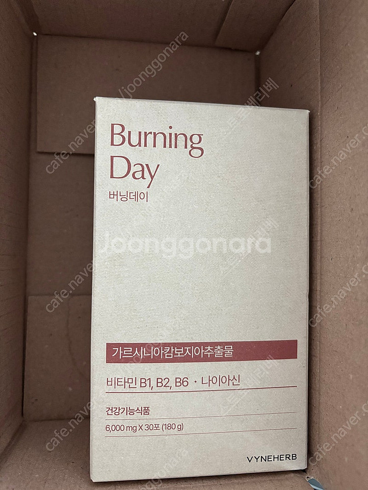 버닝데이--0