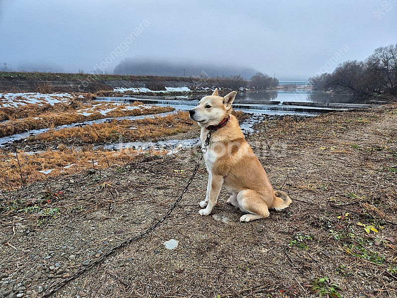 [구매] 유진 만화책 구해봅니다~~~~--0
