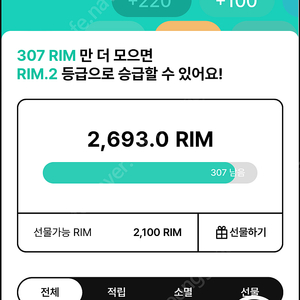 아난티 RIM2600