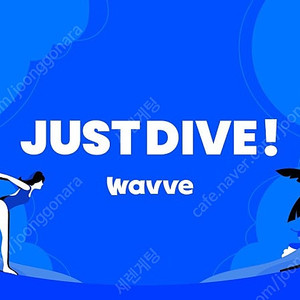 개인 웨이브 wavve 프리미엄 6개월~1년 같이 보실분 구합니다