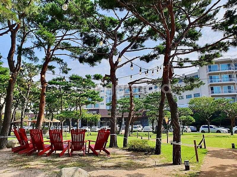 (특가예약) 켄싱턴리조트 <설악밸리-설악비치-경주>/ ...--0