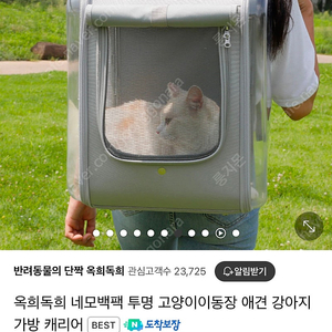 강아지 고양이 이동가방