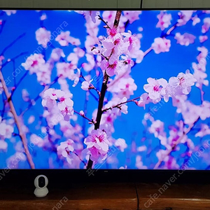 삼성전자 82인치 PREMIUM 4K UHD QLED