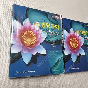 캠벨 생명과학 11판 두권 일괄 / chemistry zumdahl 9판 영문 / COMPLETE CHEMISTRY for Cambridge IGCSE / NEWYORK PRACT