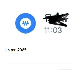 문자대량 발송 명의도용 사기꾼 카톡 zzmm2085