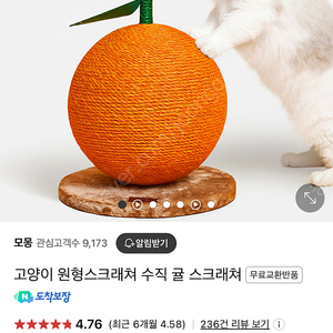 모몽 고양이 원형 귤 스크래쳐