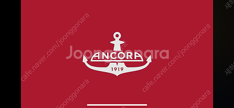 앙코라 만년필 Ancora Cyrilliac Fount...--1