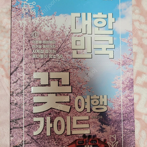 대한민국 꽃 여행 가이드