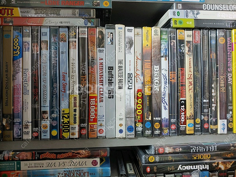 국내정품 외국영화dvd (명작 수상작)--0