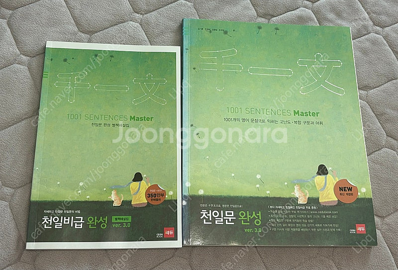 (거의 새 책) 천일문 완성 판매--0