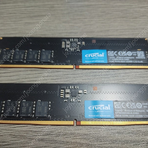 crucial DDR5 5600, 램 16Gx2