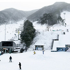 [구매]지산리조트 리프트 장비렌탈 VIP 티켓 구매