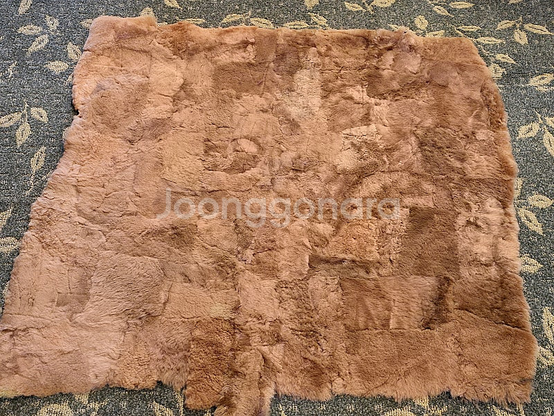 캠핑용품 판매 합니다.양털러그,혼다 발전기2.2,알미늄 척박스,캥거루털,미니카라반,캠핑트레일러--7