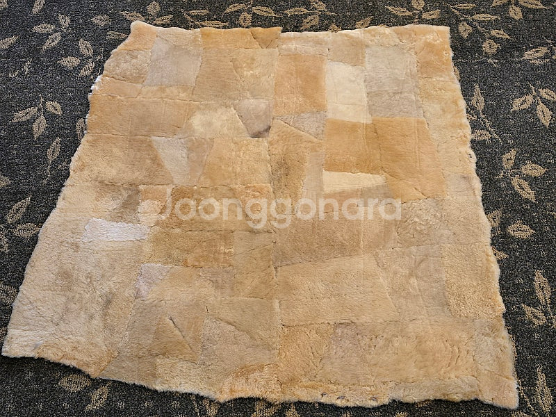 캠핑용품 판매 합니다.양털러그,혼다 발전기2.2,알미늄 척박스,캥거루털,미니카라반,캠핑트레일러--8