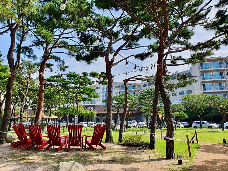 (2월8일) 켄싱턴리조트 <설악밸리-설악비치-경주>/ ...--0