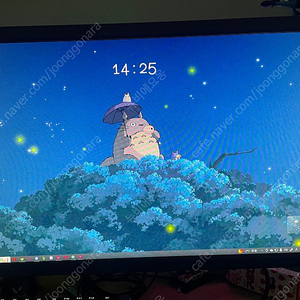 벤큐 XL2411K 144hz TN패널 모니터