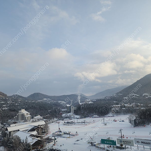 용평리조트 2월 8일 빌라콘도 28평 양도합니다.