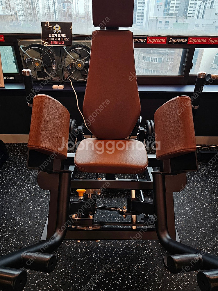 렉스코 마스터 프로 몬스터 글루트 (링크아웃싸이)--0