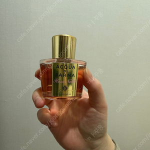 아쿠아디파르마 로사노빌레 50ml