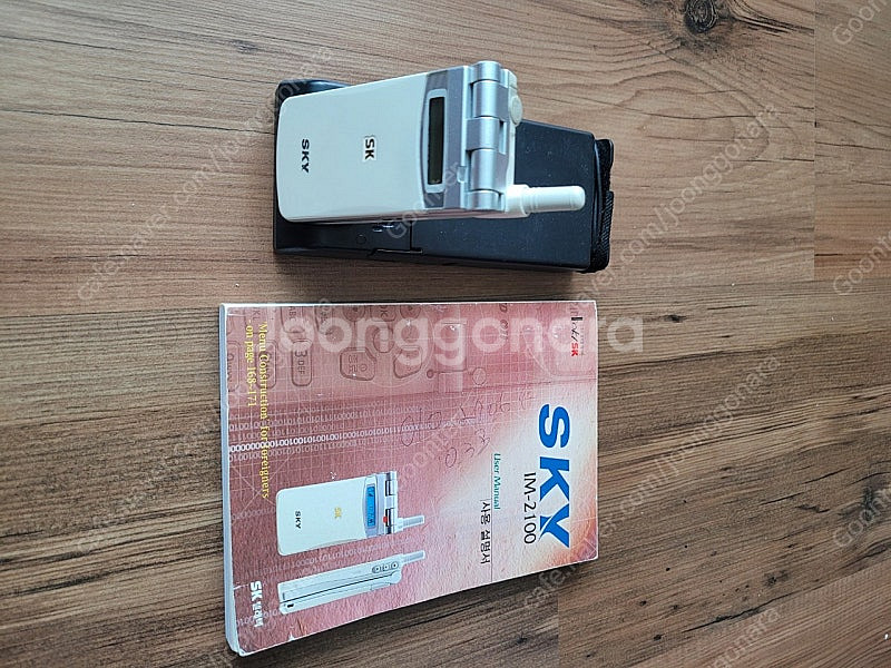 스카이룩 im2100--0