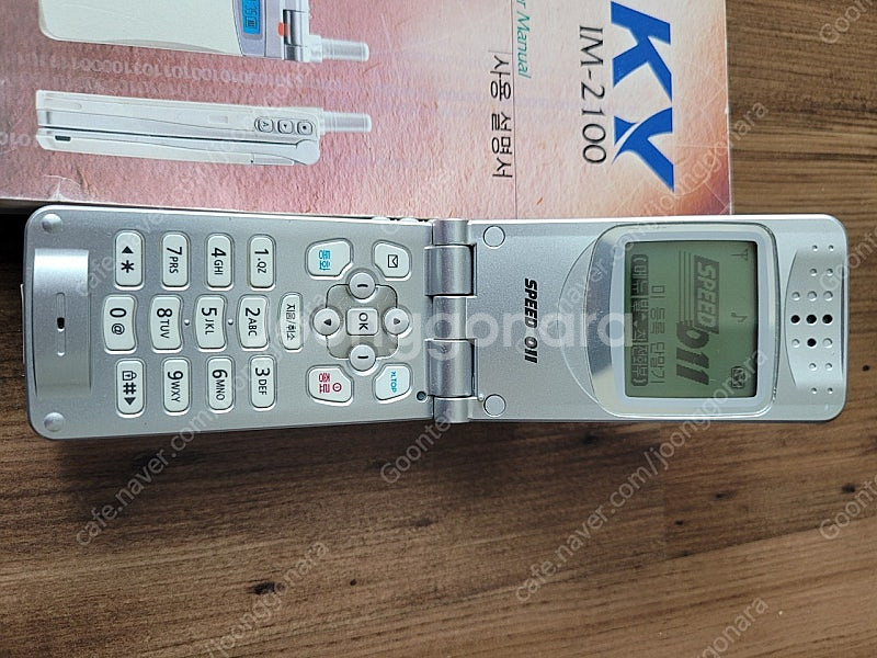 스카이룩 im2100--3