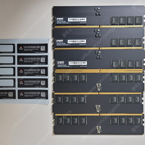 ESSENCORE KLEVV DDR5 32G 2개