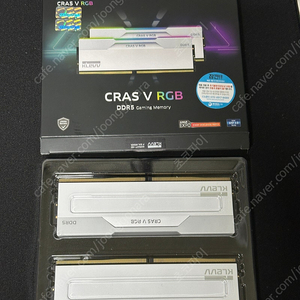 klevv cras 32gb 7600mhz 화이트