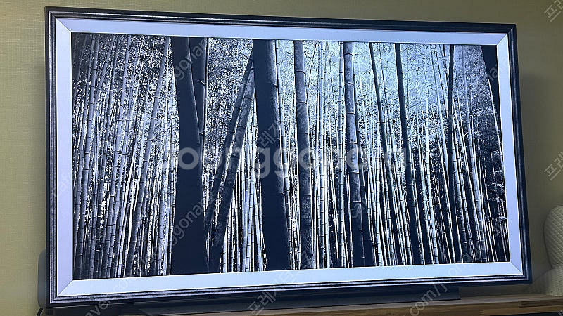 LG OLED65C10RNB 65인치 TV--3