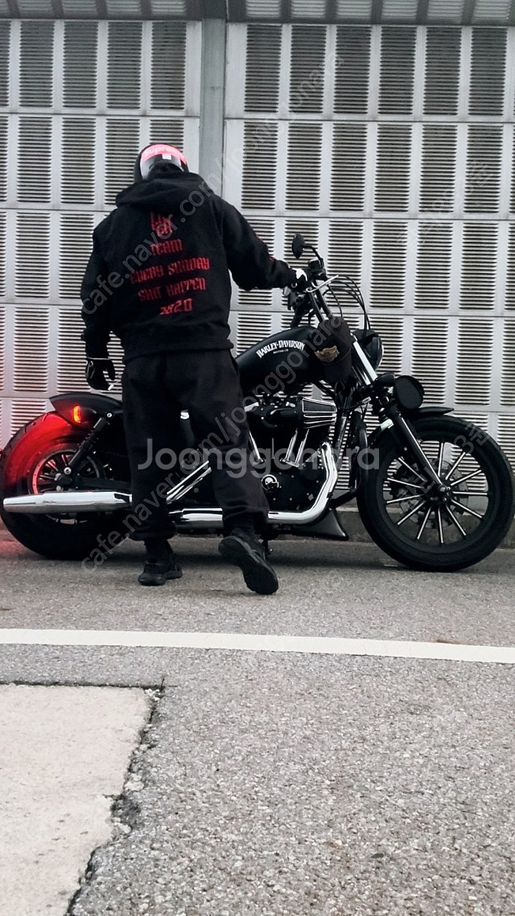 할리데이비슨(아이언883)--0