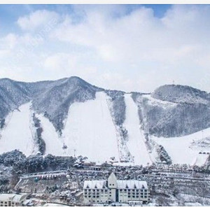 지산리조트 시즌권 양도합니다 (양도비포함)