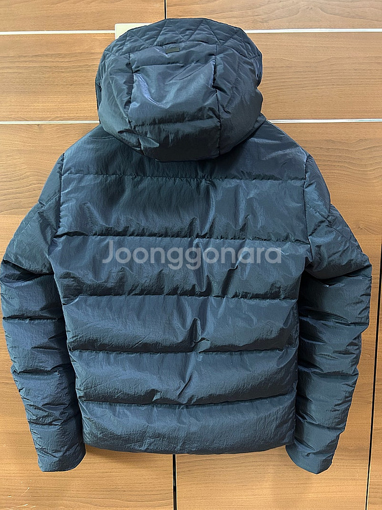 에르노 남성 구스 패딩 46--1