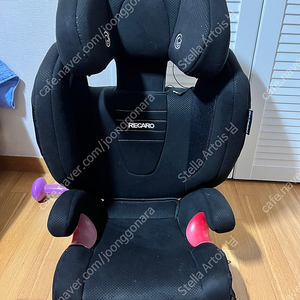 레카로(Recaro) 카시트 몬자노바 2