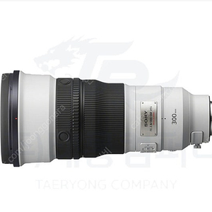 소니 FE300mm f2.8GM OSS삽니다