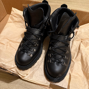 (275) Danner mountain Light black