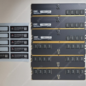 ESSENCORE KLEVV DDR5 32G 2개 - 0023님 안전거래