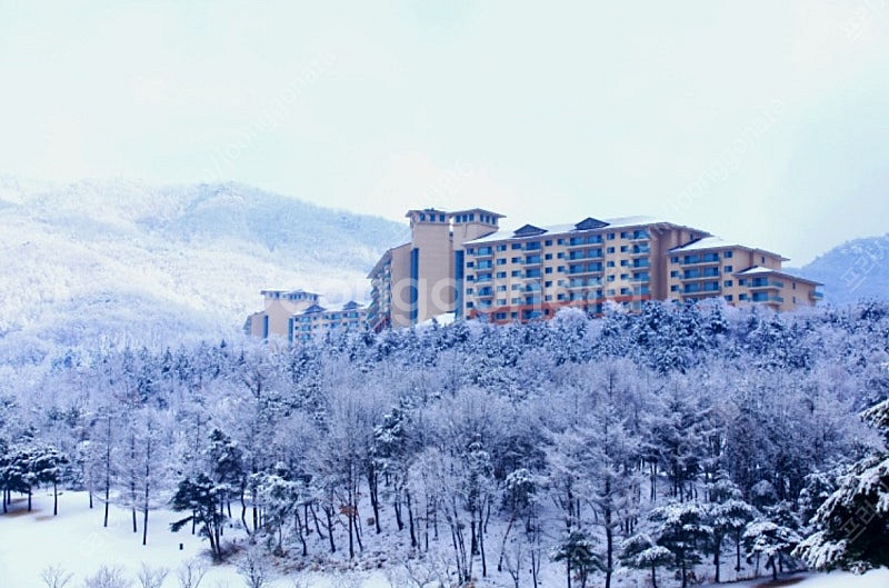 2월 15일 오크밸리 스키빌리지 35평 양도!!--0