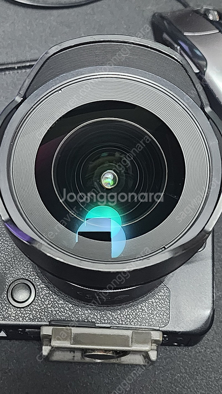 캐논 RF 85mm F2 Macro,삼양 af 14mm...--4