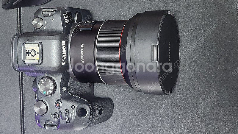 캐논 RF 85mm F2 Macro,삼양 af 14mm...--6
