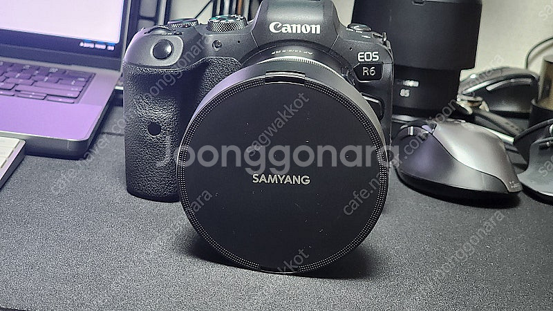 캐논 RF 85mm F2 Macro,삼양 af 14mm...--7