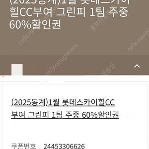 롯데리조트 롯데스카이힐cc 부여/제주 그린피 60%할인권 2월28일까지