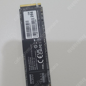 klevv 256g nvme ssd