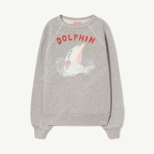 타오 8y SHARK KIDS SWEATSHIRT Grey