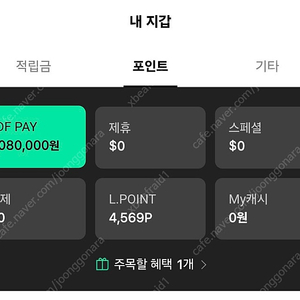 LDF PAY (시내점) 25만원 -> 22.5만원