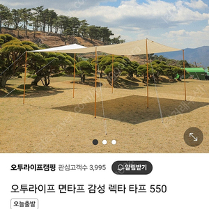 오투라이프 면타프 감성 렉타 타프 550 미사용(택포)