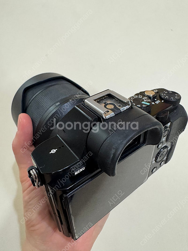 [개인] SONY 소니 알파7 미러리스 아이 찍어주는 ...--5